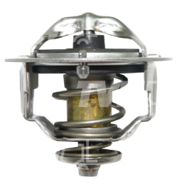 Termostato motor Kubota – Hyster